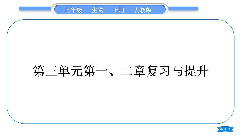 人教版七年级生物上第三单元生物圈中的绿色植物第一、二章复习与提升习题课件01