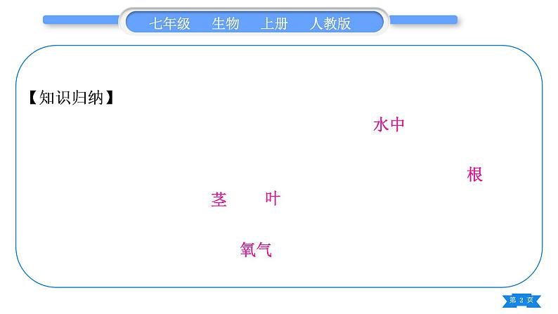 人教版七年级生物上第三单元生物圈中的绿色植物第一、二章复习与提升习题课件02