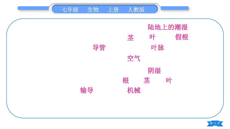 人教版七年级生物上第三单元生物圈中的绿色植物第一、二章复习与提升习题课件03