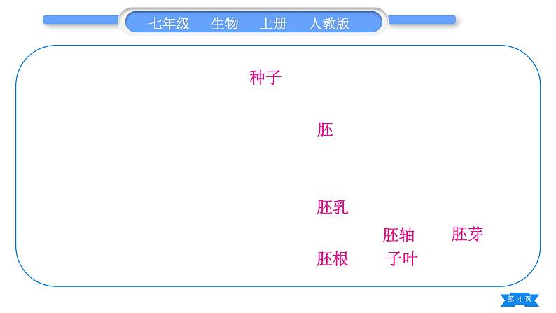 人教版七年级生物上第三单元生物圈中的绿色植物第一、二章复习与提升习题课件04