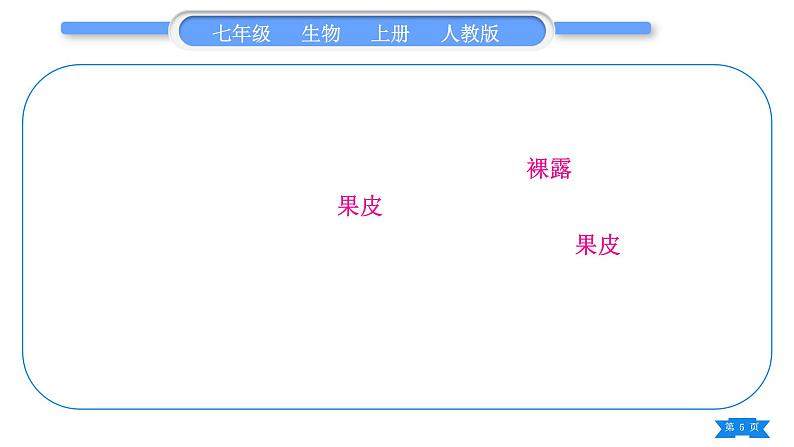 人教版七年级生物上第三单元生物圈中的绿色植物第一、二章复习与提升习题课件05