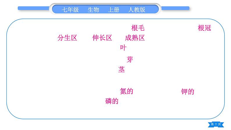 人教版七年级生物上第三单元生物圈中的绿色植物第一、二章复习与提升习题课件07