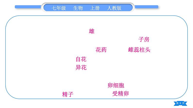 人教版七年级生物上第三单元生物圈中的绿色植物第一、二章复习与提升习题课件08