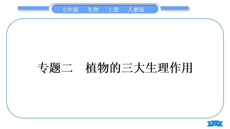 人教版七年级生物上第三单元生物圈中的绿色植物专题二植物的三大生理作用习题课件01