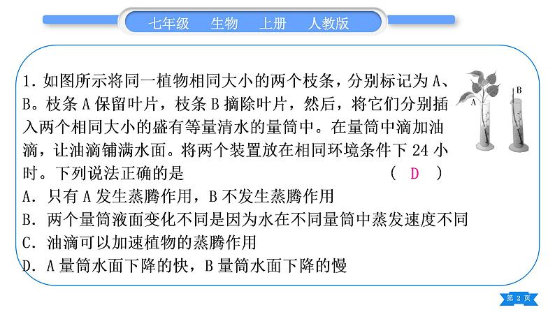 人教版七年级生物上第三单元生物圈中的绿色植物专题二植物的三大生理作用习题课件02