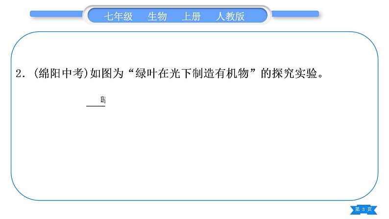 人教版七年级生物上第三单元生物圈中的绿色植物专题二植物的三大生理作用习题课件03