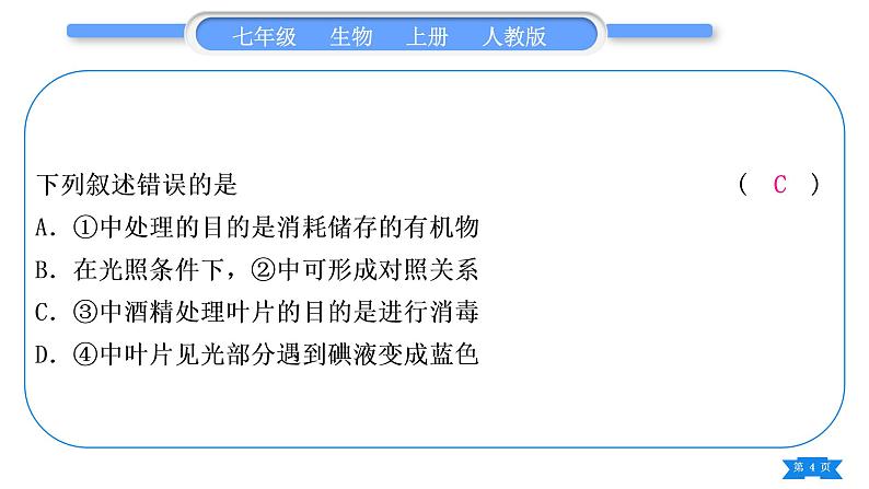 人教版七年级生物上第三单元生物圈中的绿色植物专题二植物的三大生理作用习题课件04