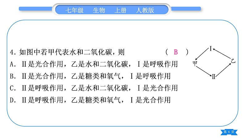 人教版七年级生物上第三单元生物圈中的绿色植物专题二植物的三大生理作用习题课件06