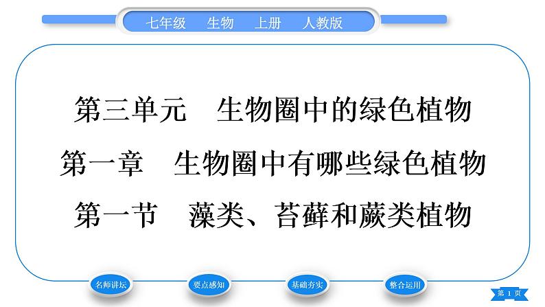 人教版七年级生物上第三单元生物圈中的绿色植物第一章生物圈中有哪些绿色植物第一节藻类、苔藓和蕨类植物习题课件01