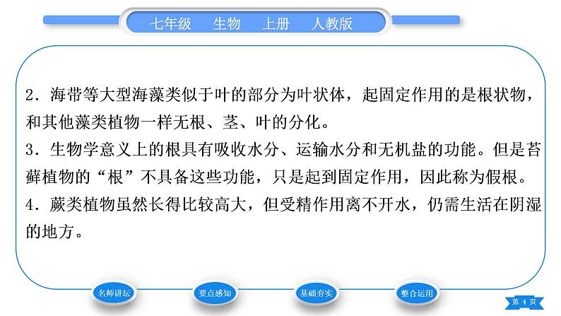 人教版七年级生物上第三单元生物圈中的绿色植物第一章生物圈中有哪些绿色植物第一节藻类、苔藓和蕨类植物习题课件04