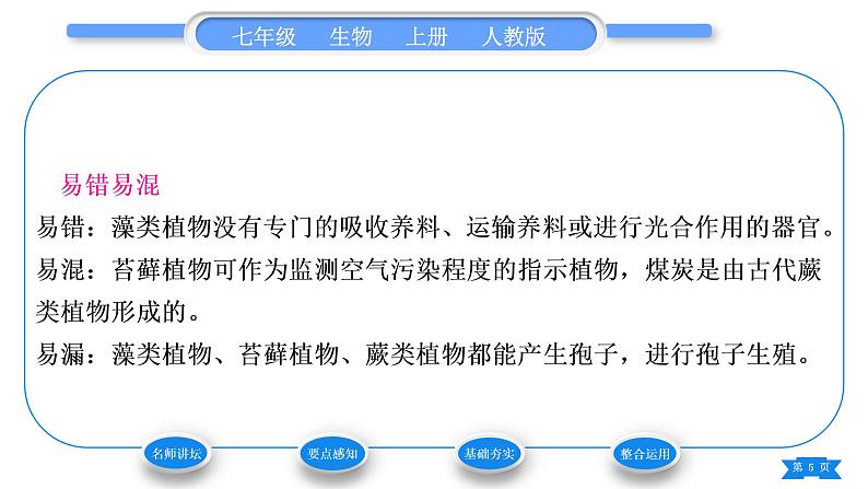 人教版七年级生物上第三单元生物圈中的绿色植物第一章生物圈中有哪些绿色植物第一节藻类、苔藓和蕨类植物习题课件05