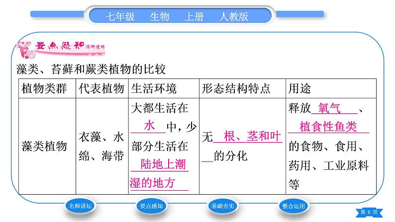 人教版七年级生物上第三单元生物圈中的绿色植物第一章生物圈中有哪些绿色植物第一节藻类、苔藓和蕨类植物习题课件06