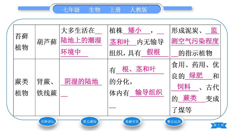 人教版七年级生物上第三单元生物圈中的绿色植物第一章生物圈中有哪些绿色植物第一节藻类、苔藓和蕨类植物习题课件07