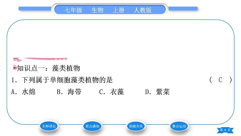 人教版七年级生物上第三单元生物圈中的绿色植物第一章生物圈中有哪些绿色植物第一节藻类、苔藓和蕨类植物习题课件08