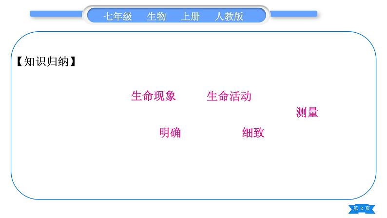 人教版七年级生物上第一单元生物和生物圈复习与提升习题课件02