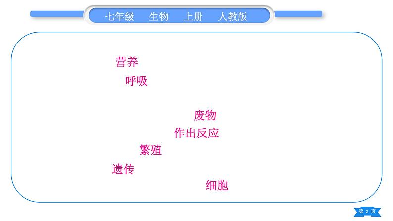 人教版七年级生物上第一单元生物和生物圈复习与提升习题课件03