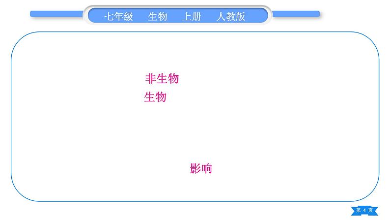 人教版七年级生物上第一单元生物和生物圈复习与提升习题课件04