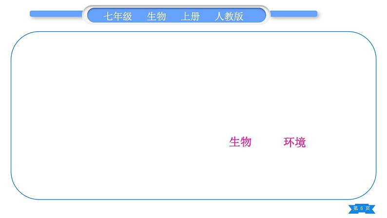 人教版七年级生物上第一单元生物和生物圈复习与提升习题课件05