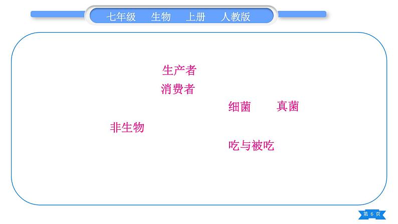 人教版七年级生物上第一单元生物和生物圈复习与提升习题课件06