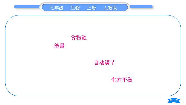 人教版七年级生物上第一单元生物和生物圈复习与提升习题课件07