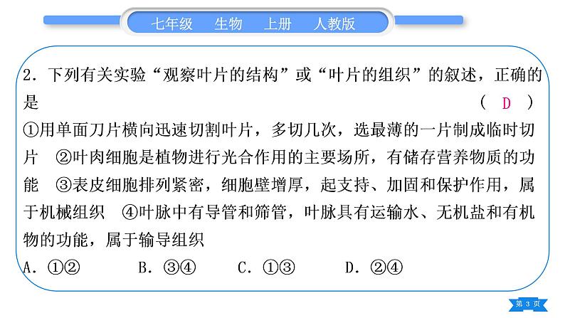 人教版七年级生物上期末复习专题(四)第三单元第三～六章习题课件03