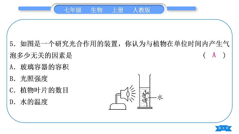 人教版七年级生物上期末复习专题(四)第三单元第三～六章习题课件06