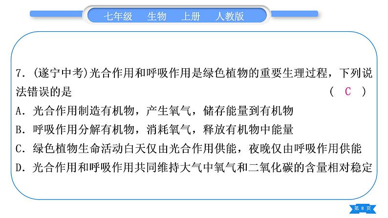 人教版七年级生物上期末复习专题(四)第三单元第三～六章习题课件08