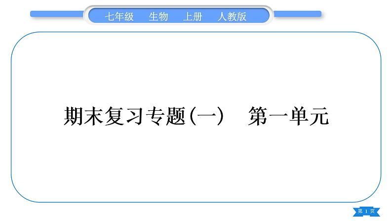 人教版七年级生物上期末复习专题(一)第一单元习题课件01