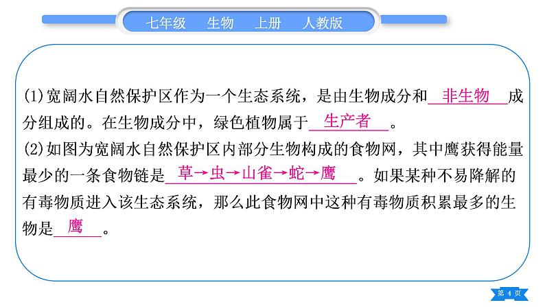 人教版七年级生物上期末复习专项读图综合题习题课件第4页