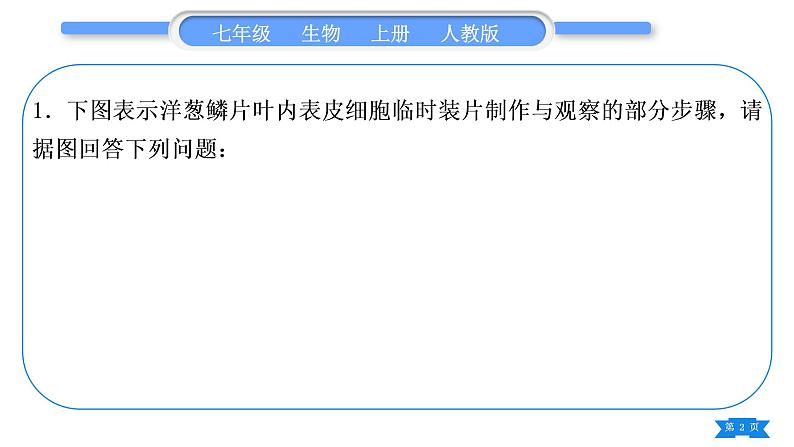 人教版七年级生物上期末复习专项实验探究题习题课件第2页