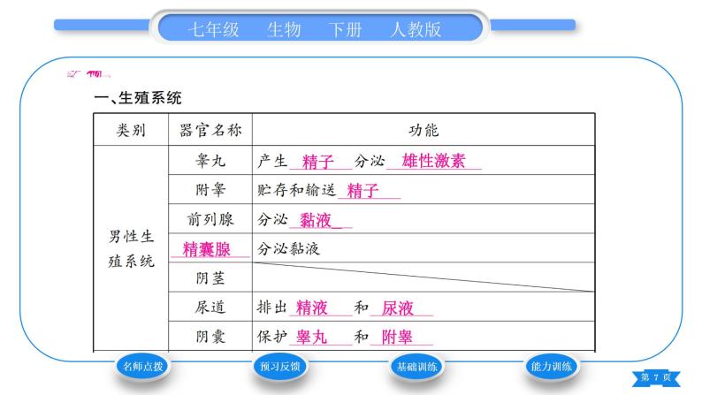 人教版七年级生物下第四单元第1章人的由来第2节人的生殖习题课件07