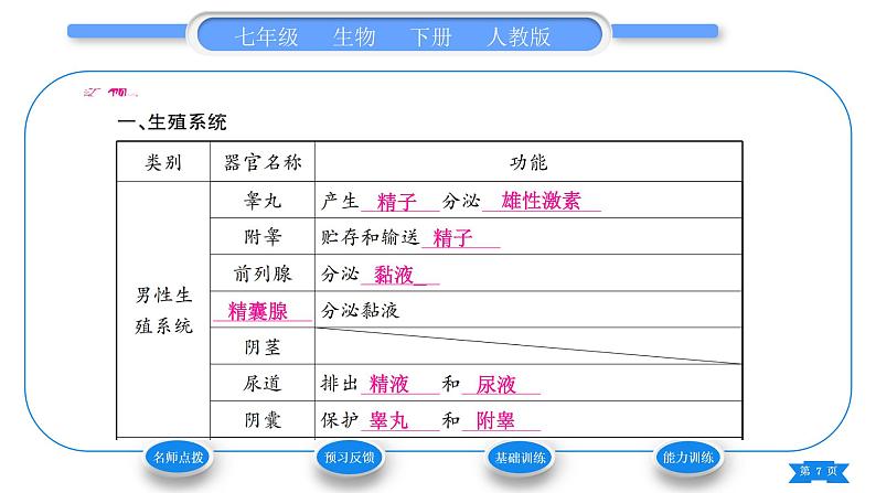 人教版七年级生物下第四单元第1章人的由来第2节人的生殖习题课件07