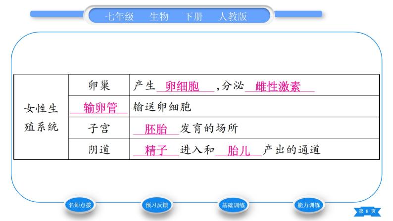 人教版七年级生物下第四单元第1章人的由来第2节人的生殖习题课件08