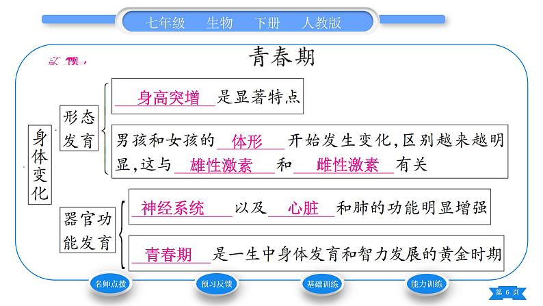 人教版七年级生物下第四单元第1章人的由来第3节青春期习题课件06