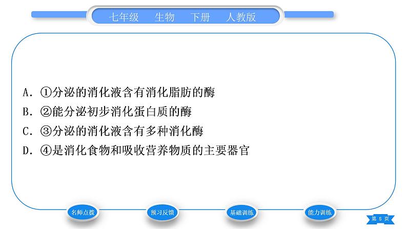 人教版七年级生物下第四单元第2章人体的营养第2节消化和吸收第1课时人体的消化系统习题课件05