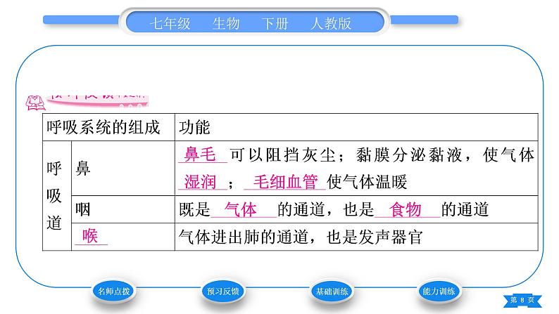 人教版七年级生物下第四单元第3章人体的呼吸第1节呼吸道对空气的处理习题课件08