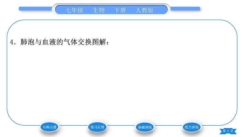 人教版七年级生物下第四单元第3章人体的呼吸第2节发生在肺内的气体交换习题课件第3页