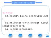 人教版七年级生物下第四单元第3章人体的呼吸第2节发生在肺内的气体交换习题课件