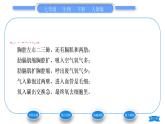 人教版七年级生物下第四单元第3章人体的呼吸第2节发生在肺内的气体交换习题课件