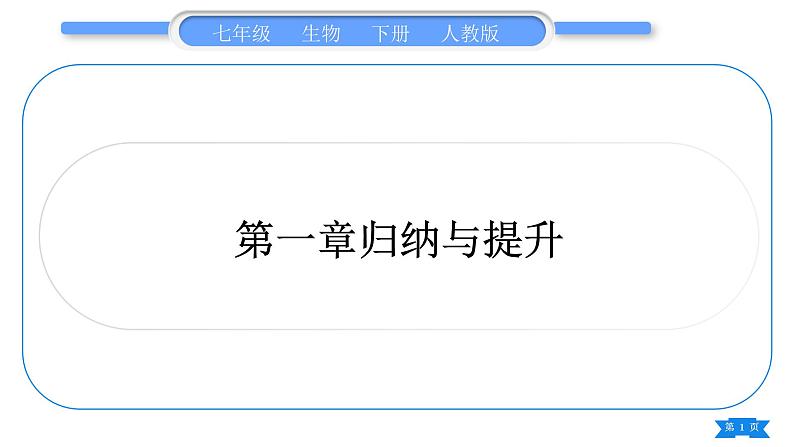 人教版七年级生物下第四单元第1章人的由来归纳与提升习题课件第1页