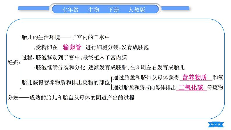 人教版七年级生物下第四单元第1章人的由来归纳与提升习题课件第4页
