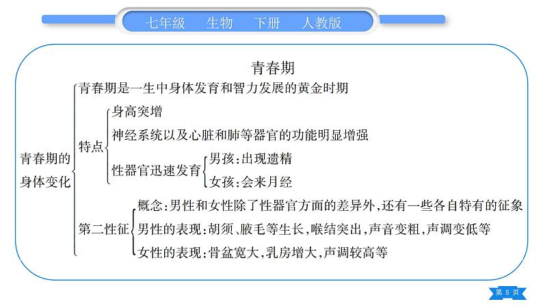 人教版七年级生物下第四单元第1章人的由来归纳与提升习题课件第5页