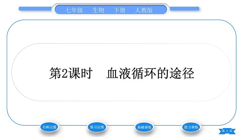 人教版七年级生物下第四单元第4章人体内物质的运输第3节输送血液的泵——心脏第2课时血液循环的途径习题课件第1页