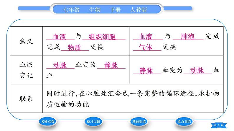 人教版七年级生物下第四单元第4章人体内物质的运输第3节输送血液的泵——心脏第2课时血液循环的途径习题课件第7页