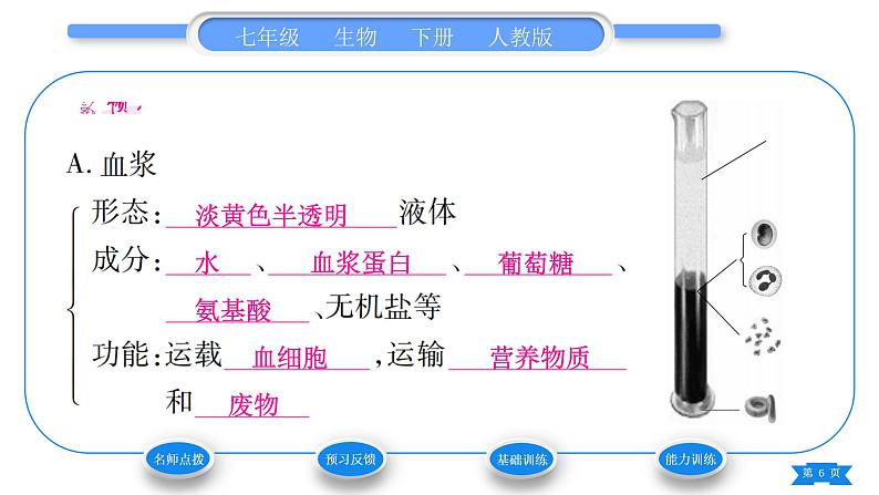 人教版七年级生物下第四单元第4章人体内物质的运输第1节流动的组织——血液习题课件第6页