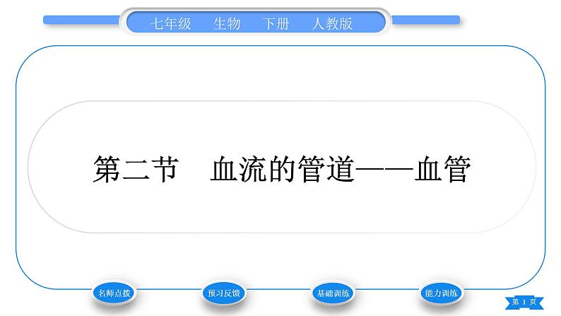 人教版七年级生物下第四单元第4章人体内物质的运输第2节血液的管道——血管习题课件第1页