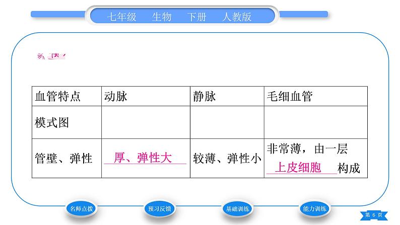 人教版七年级生物下第四单元第4章人体内物质的运输第2节血液的管道——血管习题课件第6页