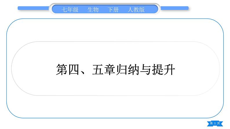 人教版七年级生物下第四单元第5章人体内废物的排出第四、五章归纳与提升习题课件第1页