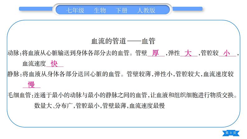 人教版七年级生物下第四单元第5章人体内废物的排出第四、五章归纳与提升习题课件第3页