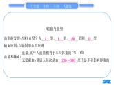 人教版七年级生物下第四单元第5章人体内废物的排出第四、五章归纳与提升习题课件